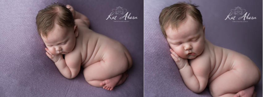 Individual Images | Purple_Cover_Photo.jpg